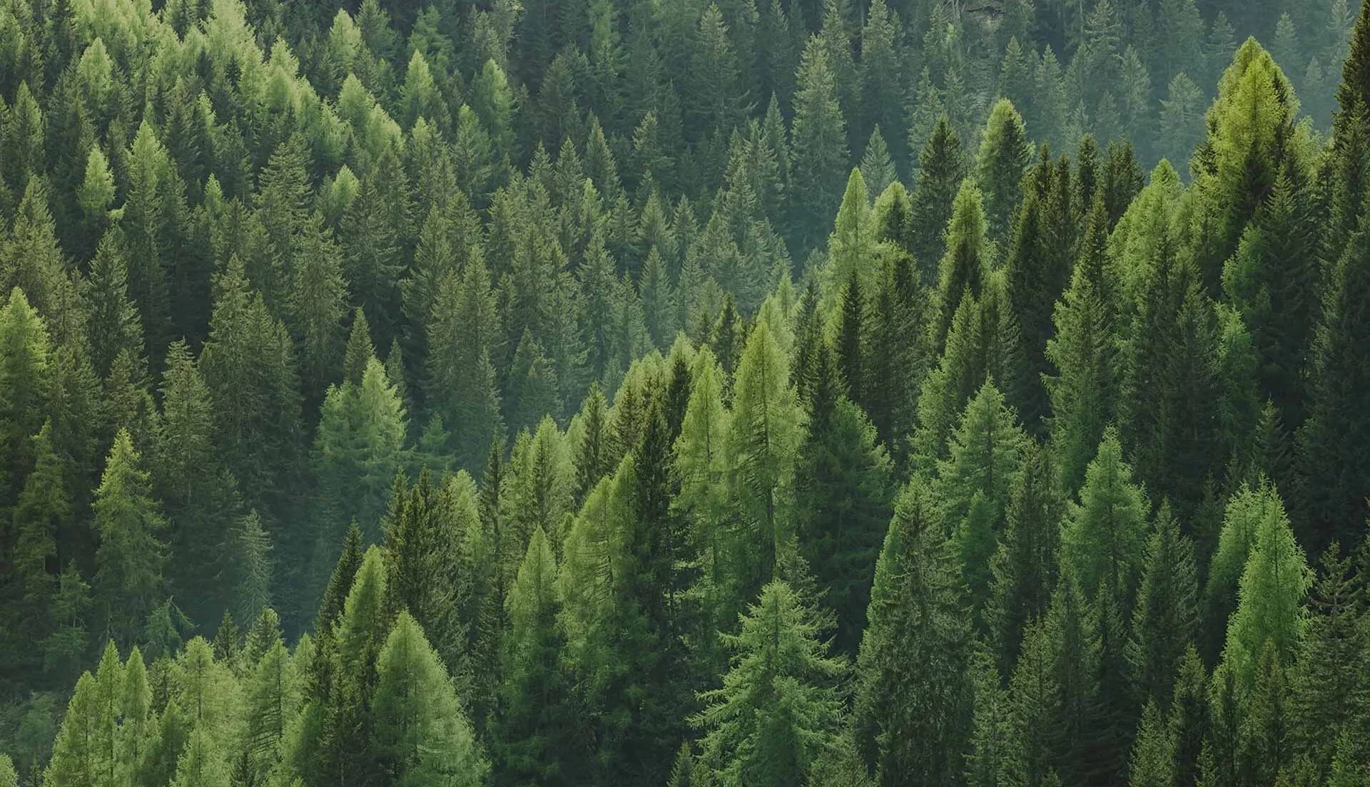 Sustainability